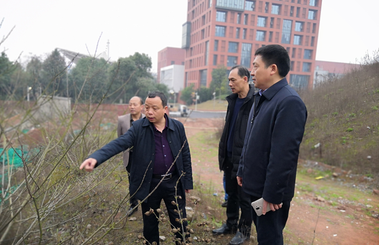 开云(中国)官方网站开展校园安全大检查活动